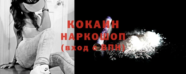 дживик Лагань