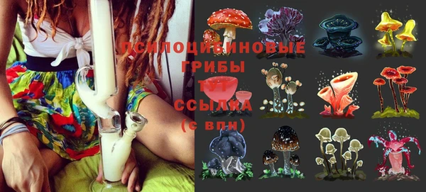 дживик Лабытнанги