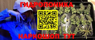 наркотики Берёзовский