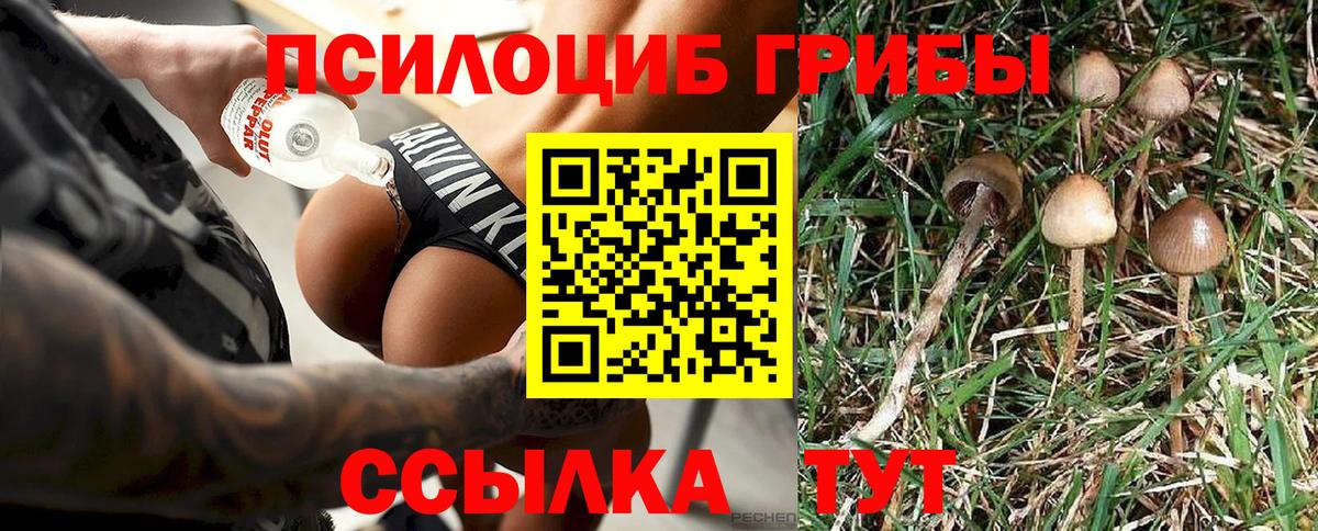 Псилоцибиновые грибы ЛСД  Вход с VPN  Кузнецк 
