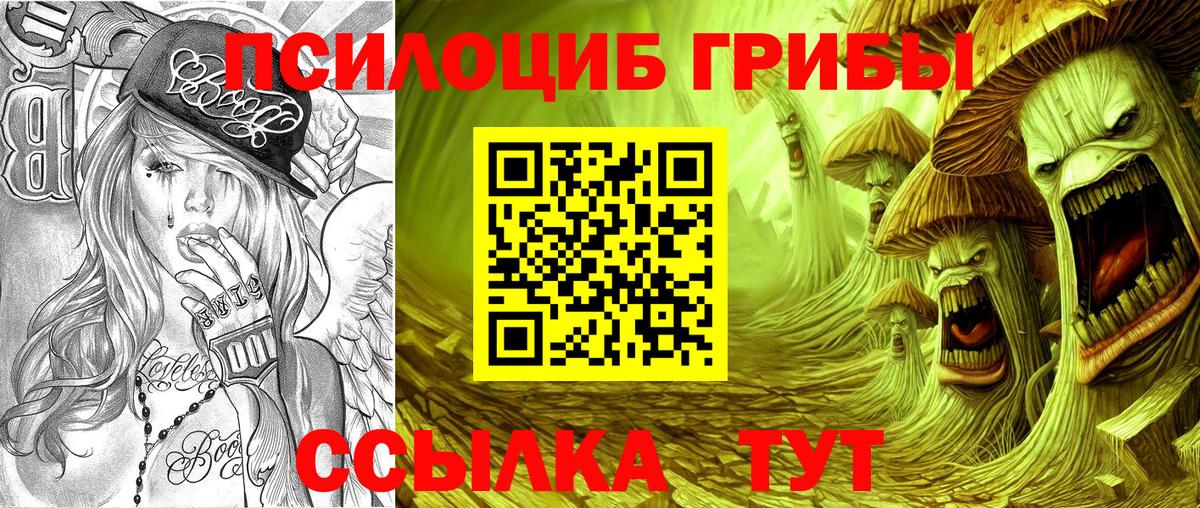 Галлюциногенные грибы мухоморы Кузнецк