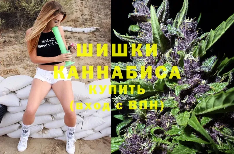 Марихуана план  кракен ONION  Кузнецк 