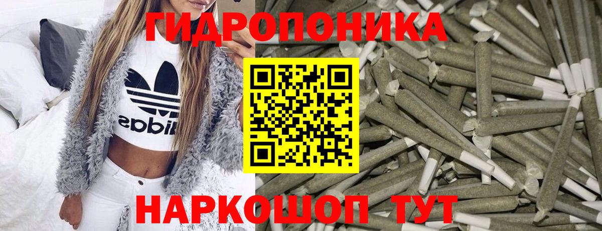 Бошки марихуана гибрид  Кузнецк  Шишки марихуана LSD WEED  Марихуана THC 21%  Бошки Шишки марихуана 