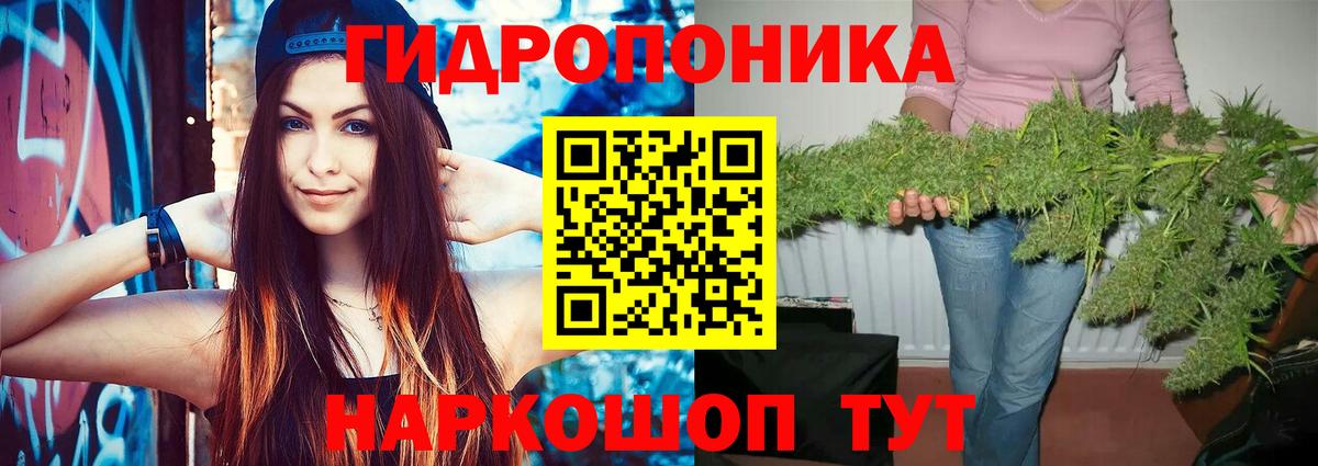 Марихуана план Кузнецк